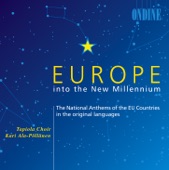 Europe into the New Millennium artwork