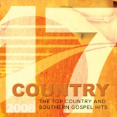 17 Country 2008 (The Top Country and Southern Gospel Hits of 2008) artwork
