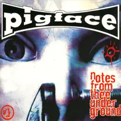 Notes from Thee Underground / Feels Like Heaven Vol. 2 - Pigface
