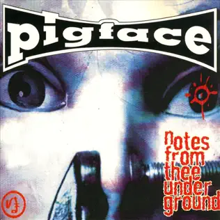 ladda ner album Pigface - Notes From Thee Underground Feels Like Heaven Vol 2