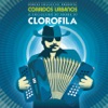 Clorofila - Arriba el Novio