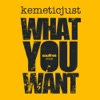 What You Want - Single