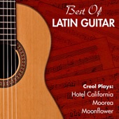 Best of Latin Guitar artwork