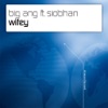 Wifey (feat. Siobhan) [Remixes] - Single