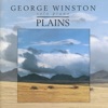 Plains, 1999