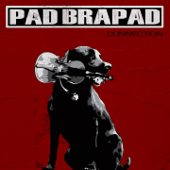 Connection - EP - Pad Brapad