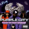 Road to the Riche$ - the Best of the Purple City Mixtapes