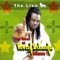 Many Problems (feat. DJ Super Shock) - Kwesi Selassie lyrics
