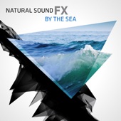 Natural Sound FX: By the Sea artwork