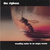 The Rigbees - San Diego