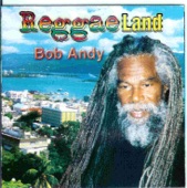 BOB ANDY - TOO EXPERIENCED