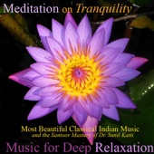 Meditation On Tranquility (Most Beautiful Classical Indian Music and the Santoor Mastery of Dr. Sunil Katti) artwork