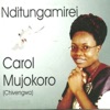 Nditungamirei