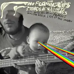Dark Side of the Moon - The Flaming Lips