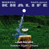 Summer Night's Dream artwork
