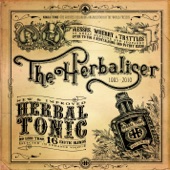 The Herbaliser - Something Wicked