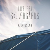 Hjerteslag (feat. Marie Pihlstrøm Frostlid) artwork