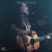 Willie Nelson - Ole Buttermilk Sky