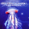 Chillum, Vol. 4 (The Ultimate Tribal Ambient Journey)