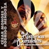 Historias Paralelas, 2009