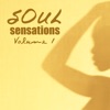 Soul Sensations, Vol. 1 (Re-recorded Version)