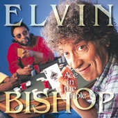 Elvin Bishop - Driving Wheel