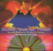 Sacred Medicine Guide Us Home - Harmonized Peyote Songs artwork