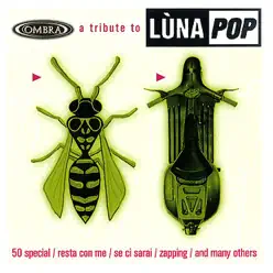 A Tribute To Luna POP - The Coverbeats A Tribute To Luna POP - The Coverbeats