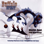 Buffalo Spirit - Drum Song