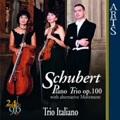 Piano Trio In e Flat Major Op. 100 D 929: I. Allegro (Schubert) artwork