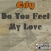 Do You Feel My Love - Single