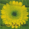 Andy - Schritt Fuer Schritt