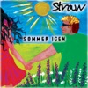 Sommer Igen - Single