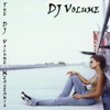 The DJ Volume Megamix - Single