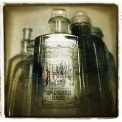 Herbal Tonic (Best of The Herbaliser) - The Herbaliser