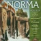 Norma: Ma Di'... L'amato Giovane - Adriana Perris, Ebe Stignani, Emilio Renzi, Gina Cigna, Giovanni Breviario, Orchestra sinfonica e Co lyrics
