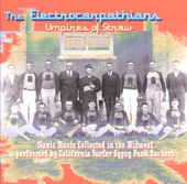 The Electrocarpathians - Koroboushka