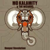 Mo'kalamity - Inner Dub