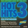 Hot Hits On Synthesizer, Vol. 3