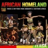 African Homeland - Voices & Rhythms from Zimbabwe & Southern Africa