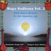 Raga Sadhana, Vol. 2 artwork