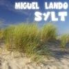 Sylt - Single, 2011