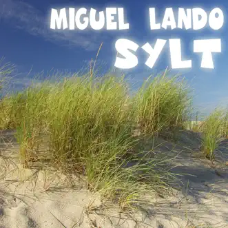 Sylt - Single by Miguel Lando album reviews, ratings, credits