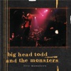 Big Head Todd & The Monsters - It's Alright (Live)