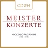 Yehudi Menuhin & Jeremy Menuhin - Konzert für Violine und Orchester Nr. 2 h-Moll, op. 7: Allegro maestoso – Cadenza – Allegro maestoso