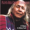 Floyd Red Crow Westerman - a Tribute to Johnny Cash