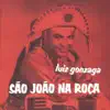 São João Na Roça album lyrics, reviews, download
