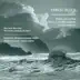 Bloch, E.: Poems of the Sea - Violin Concerto - Voice in the Wilderness album cover