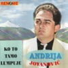 Andrija Jovsnovic - Ko To Tamo Lumpuje