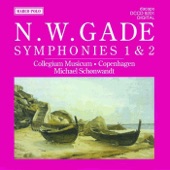 Symphony No. 1 In C Minor, Op. 5, "Paa Sjolunds Fagre Sletter": IV. Finale artwork